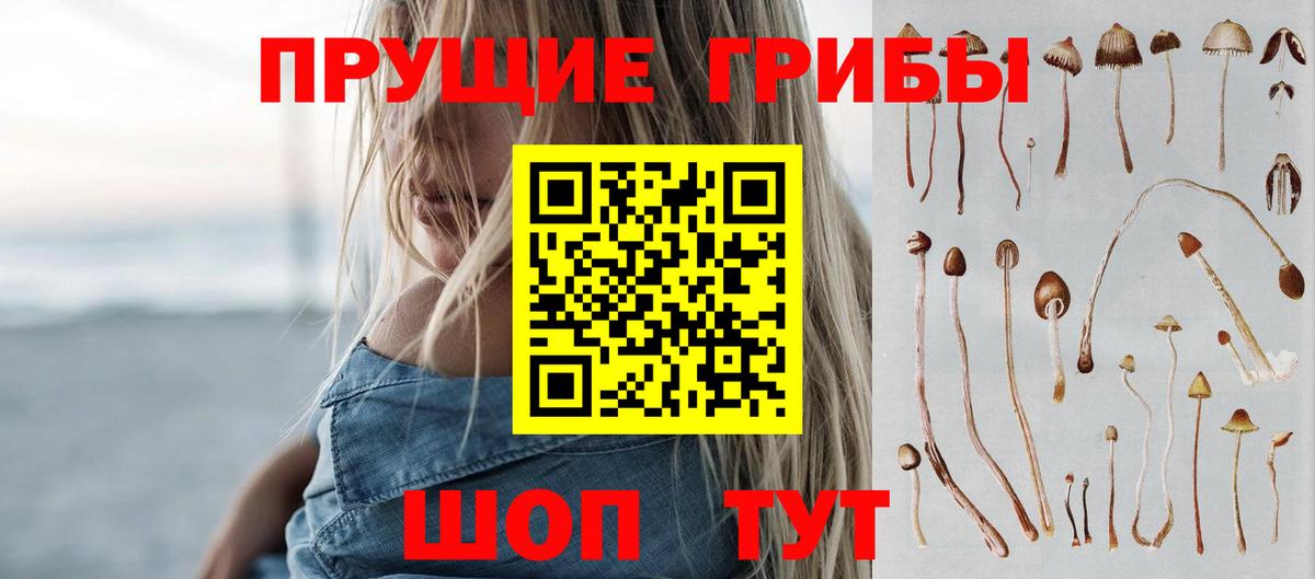 Псилоцибиновые грибы Cubensis Мурманск